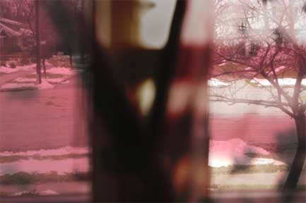 Kelly Dykstra