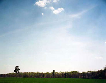 The Basement Gallery